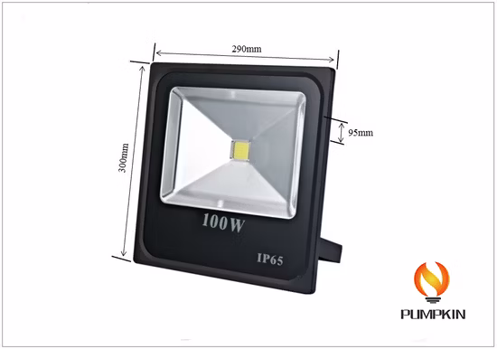 Quality Assurance IC Driver Low 100W LED Flood Light
